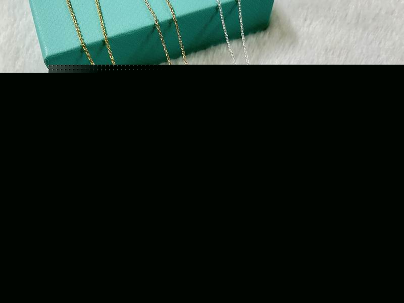 Tiffany Necklace 08yxs10
